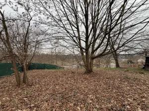 Pronájem rodinného domu, Ostrava, Křížkovského, 300 m2