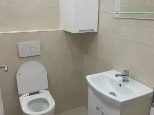 Pronájem bytu 1+kk, Praha - Vinohrady, Nad olšinami, 27 m2