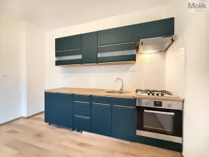 Pronájem bytu 2+kk, Háj u Duchcova, Kubátova, 54 m2