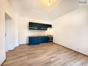Pronájem bytu 2+kk, Háj u Duchcova, Kubátova, 54 m2