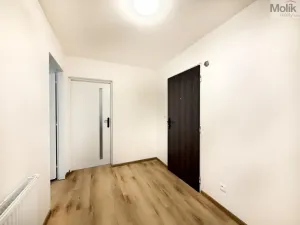 Pronájem bytu 2+kk, Háj u Duchcova, Kubátova, 50 m2