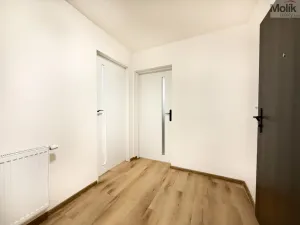 Pronájem bytu 2+kk, Háj u Duchcova, Kubátova, 50 m2