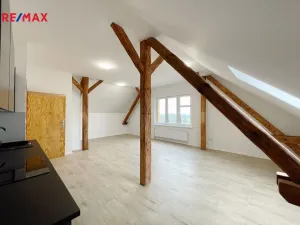 Pronájem bytu 1+kk, Lety, 48 m2