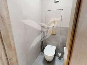 Pronájem bytu 3+kk, Plzeň, Elišky Krásnohorské, 64 m2