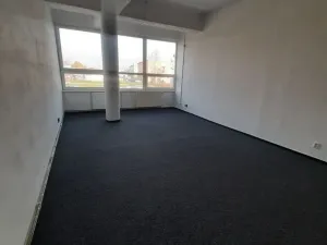Pronájem kanceláře, Olomouc, Šlechtitelů, 57 m2