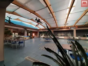 Pronájem kanceláře, Olomouc, Šlechtitelů, 57 m2