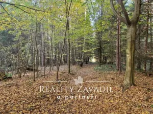 Prodej lesa, Hradec nad Moravicí - Filipovice, 11917 m2