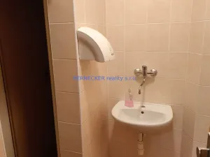 Pronájem kanceláře, Hradec Králové - Pražské Předměstí, S. K. Neumanna, 48 m2