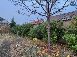 Prodej rodinného domu, Peruc - Radonice nad Ohří, 110 m2