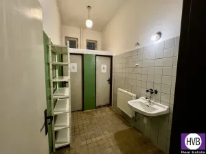 Pronájem obchodního prostoru, Říčany, Černokostelecká, 180 m2