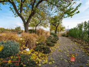 Prodej bytu 3+kk, Dolní Dunajovice, 60 m2