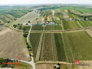 Prodej bytu 3+kk, Dolní Dunajovice, 60 m2