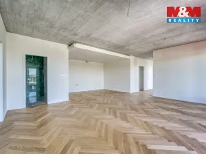 Prodej bytu 3+kk, Plzeň - Východní Předměstí, Kamenická, 134 m2