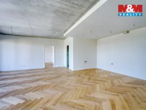 Prodej bytu 3+kk, Plzeň - Východní Předměstí, Kamenická, 134 m2
