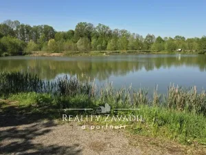 Prodej rybníku, Žabeň, 30500 m2