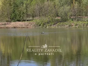 Prodej rybníku, Žabeň, 30500 m2