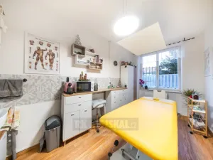 Prodej obchodního prostoru, České Budějovice - České Budějovice 3, J. Š. Baara, 41 m2