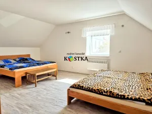 Prodej rodinného domu, Leskovec nad Moravicí, 200 m2