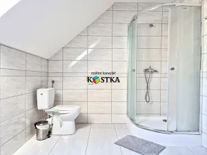 Prodej rodinného domu, Leskovec nad Moravicí, 200 m2