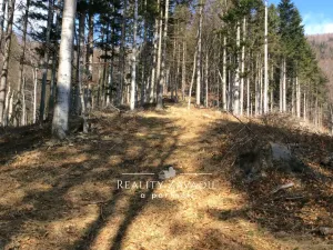 Prodej lesa, Morávka, 78172 m2