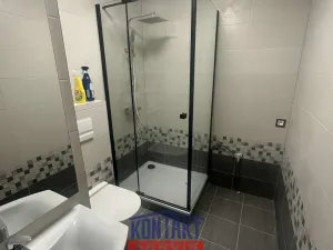 Pronájem bytu 2+1, České Budějovice, Dobrovodská, 63 m2