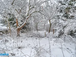 Prodej zemědělské usedlosti, Dědová, 400 m2