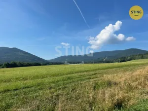Prodej pozemku pro bydlení, Bělá pod Pradědem - Domašov, 3362 m2