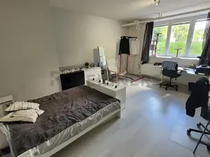 Pronájem bytu 1+1, Brno, Burešova, 59 m2