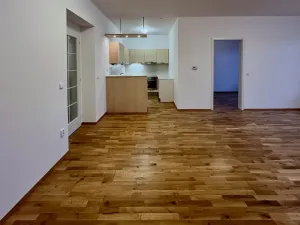 Pronájem bytu 4+kk, Brno, Údolní, 106 m2