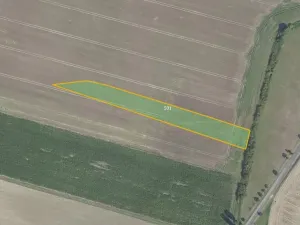 Prodej pole, Městec Králové, 17054 m2