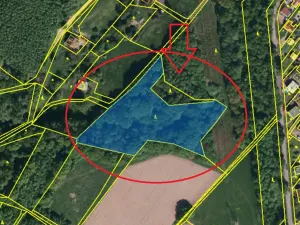 Prodej lesa, Ostrava, 8938 m2