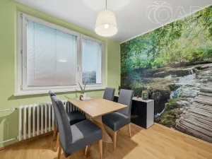 Prodej bytu 2+1, Vyškov - Vyškov-Předměstí, Dukelská, 52 m2