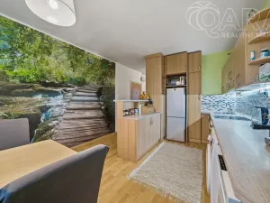 Prodej bytu 2+1, Vyškov - Vyškov-Předměstí, Dukelská, 52 m2