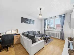 Prodej bytu 2+1, Vyškov - Vyškov-Předměstí, Dukelská, 52 m2