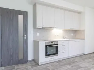 Prodej bytu 1+kk, Heřmanova Huť, U Pondu, 35 m2