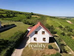 Prodej rodinného domu, Horní Věstonice, Mandloňová, 164 m2