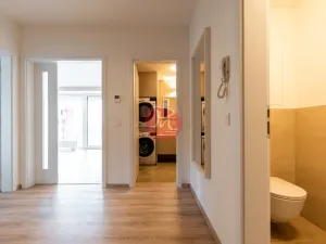 Pronájem bytu 4+kk, Ostrava, F. X. Riepla, 115 m2