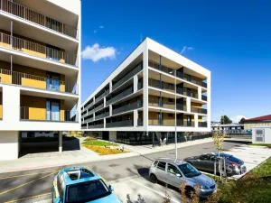 Pronájem bytu 1+kk, České Budějovice - České Budějovice 4, Vrbenská, 32 m2