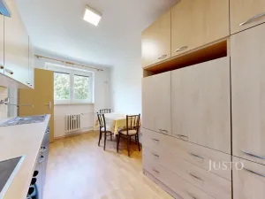 Pronájem bytu 1+1, České Budějovice - České Budějovice 7, Pabláskova, 41 m2