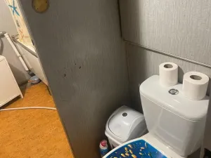 Pronájem bytu 2+1, Chomutov, Školní pěšina, 66 m2