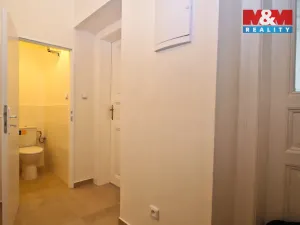 Pronájem bytu 1+1, Praha - Žižkov, Hartigova, 34 m2