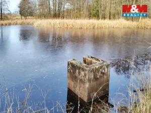 Prodej rybníku, Velká Losenice, 13639 m2