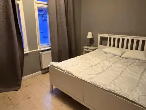 Pronájem bytu 2+kk, Praha - Žižkov, Bořivojova, 56 m2