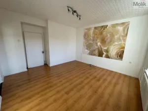 Prodej bytu 2+1, Most, tř. Budovatelů, 54 m2