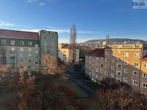 Prodej bytu 2+1, Most, tř. Budovatelů, 54 m2