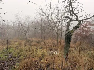 Prodej zahrady, Silůvky, 419 m2