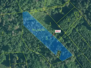 Dražba lesa, Zavlekov, 2895 m2