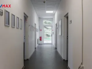 Pronájem výrobních prostor, Chodová Planá, Kyjovská, 1300 m2