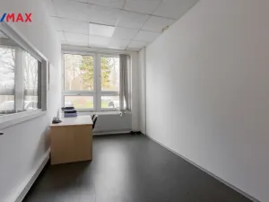 Pronájem výrobních prostor, Chodová Planá, Kyjovská, 1300 m2