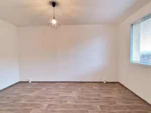 Prodej bytu 1+1, Chlumec, Tuchomyšlská, 38 m2